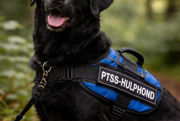 Man met een glimlach, leunend op zijn hand en een horloge om zijn pols.